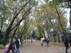 DSC00476.JPG