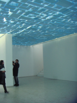 DSC00517.JPG