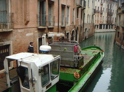 DSC00796.JPG
