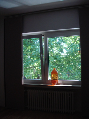 DSC09983.JPG