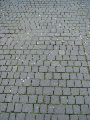 DSC09997.JPG