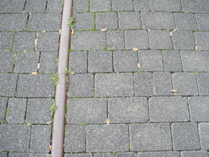 DSC09999.JPG