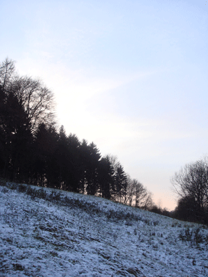 snow.gif
