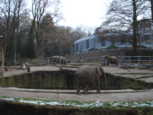 zoo2.gif