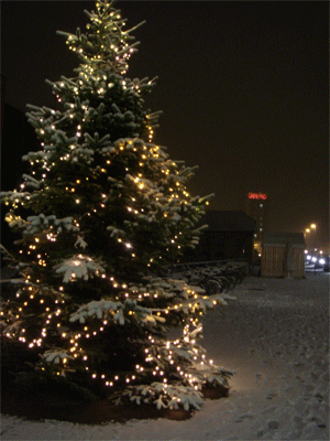 1129christmastree.gif