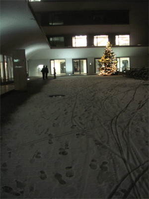 1129christmastree2.gif