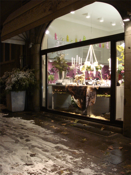 1207window.gif