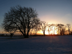 01026.gif