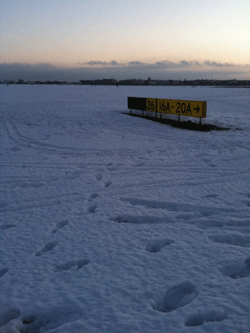 01029yellowsign.gif