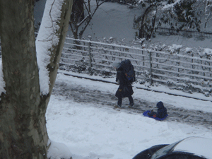 0104soli.gif