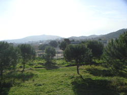01074.gif