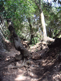 010892.gif