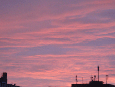 0115top.gif
