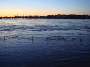 01161.gif