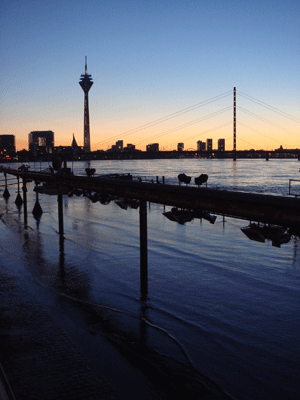 01165.gif