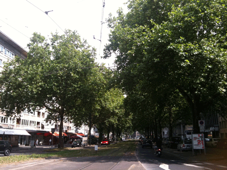 07061.gif