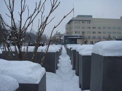 12288.gif