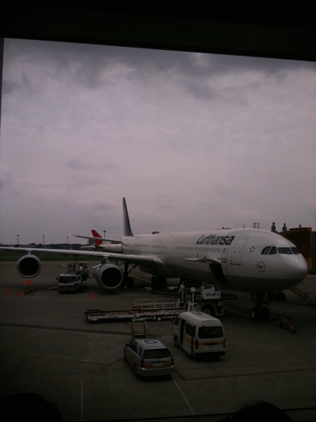 IMG_0450.gif
