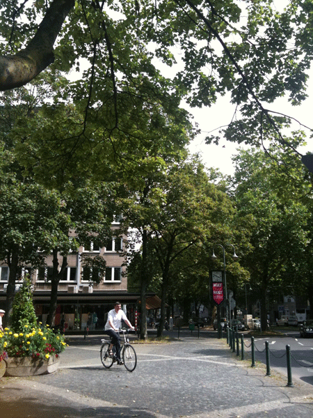 IMG_0467.gif