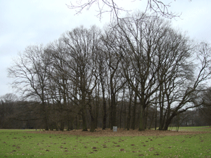 020592.gif