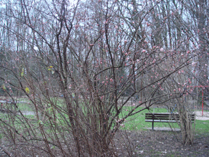 020594.gif