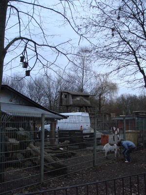 02066.gif