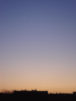 03063.gif