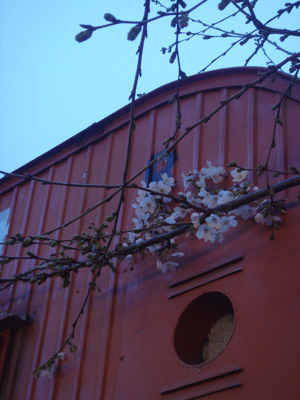 03122.gif