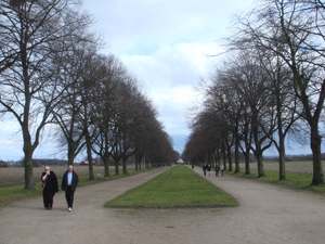 03134.gif