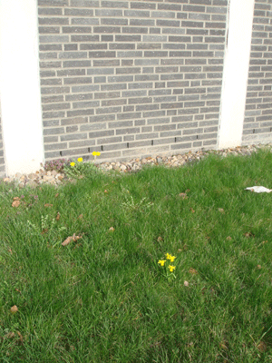 03224.gif