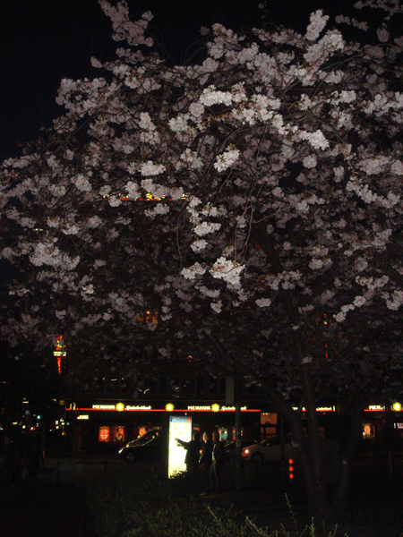 0324top.gif