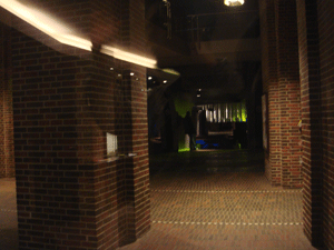 03254.gif