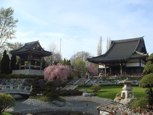 04021.gif