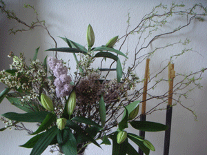 04044.gif