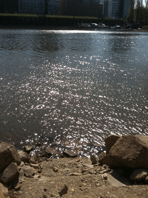 04074.gif
