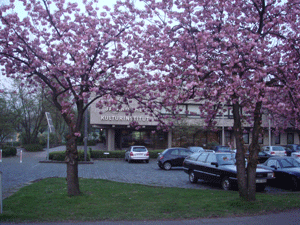 04084.gif