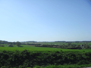 04096.gif