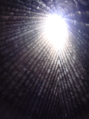 040991.gif