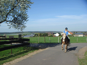 040995.gif