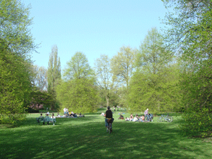 04105.gif