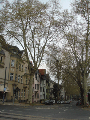 04122.gif