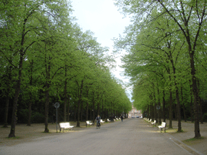 04133.gif