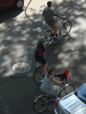 05082.gif