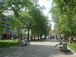 05141.gif