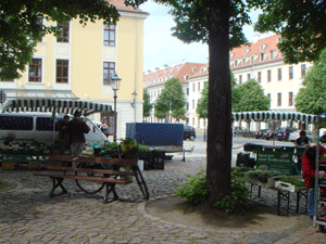 05171.gif
