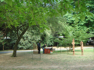 05294.gif