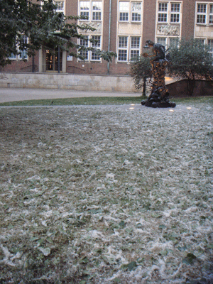 05312.gif