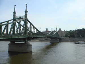 06033.gif