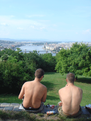 06036.gif