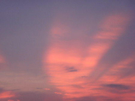 0606top.gif